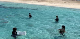 Magyarok gyűjtik a szemetet ott, ahol mások nyaralnak