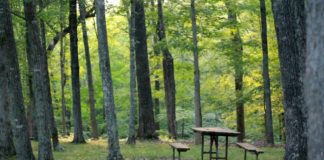 Nyáron lesznek ottalvós táborok