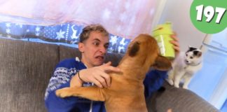 Egy új ötlet | Középsuli sorozat 197. rész