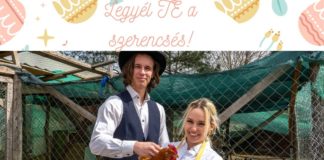 Legyél igazán meggyőző!