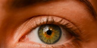 6+1 Felismered a sztárokat csak a szemükről?