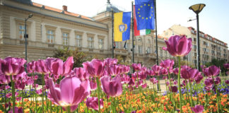 Nevezési rekord a jubileumi Virágos Magyarország versenyen.