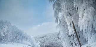 Tragédia az eplényi sípályán, meghalt egy 64 éves férfi