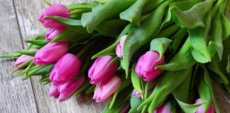 Ma a nőket ünnepeljük