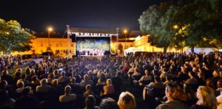 Interjú Mits Gergellyel a 11. Alba Regia Fesztiválról