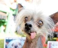 Kizárt, hogy ne csaljon mosolyt az arcodra ez a videó!