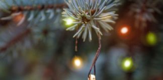 Ünnepi hangulat tanulás közben: apró trükkök a ráhangolódáshoz